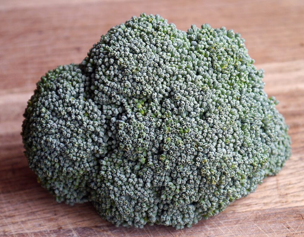 broccoli, vegetable, nature-498605.jpg